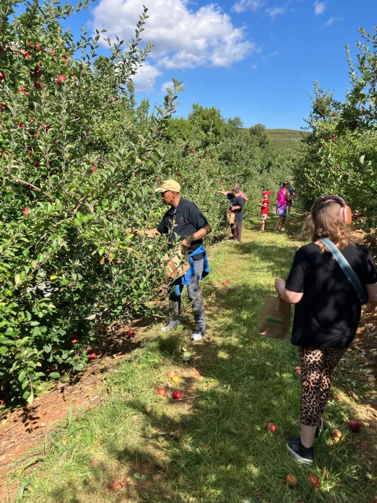 Adults walking through an apple orchard during a community outing with an adult day support program.